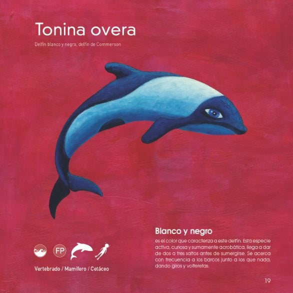 Animales argentinos Animales argentinos